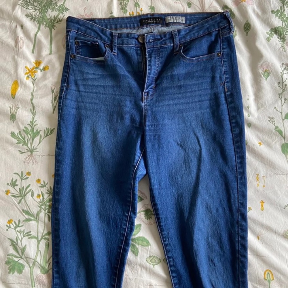 Blue Skinny Jeans/Jeggings